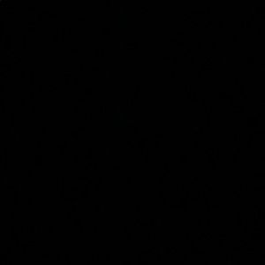 Meet your Posher, Tonino